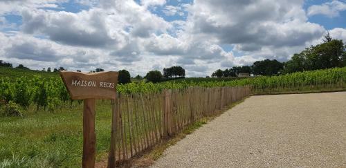 Bed & Breakfast Maison Reces