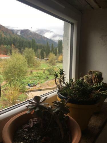 S�jour Chez L'habitant Homestay