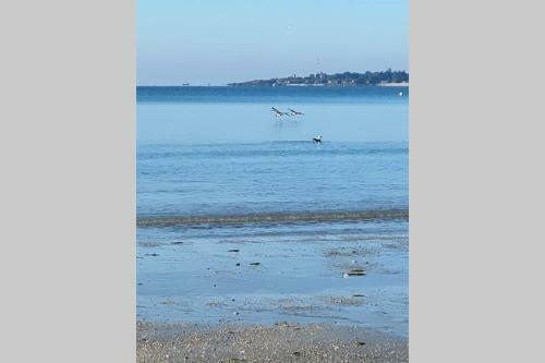Apartamento Cap Coz Sea Side Fouesnant