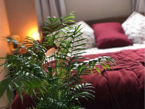 Bed & Breakfast La Suite Des Charmelines