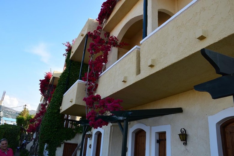 Hotel Malia Studios Apartments