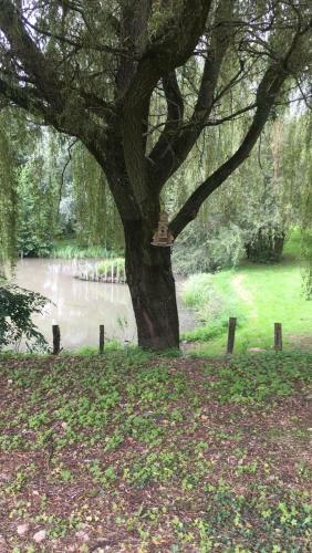 Bed & Breakfast Le Domaine Du Sens