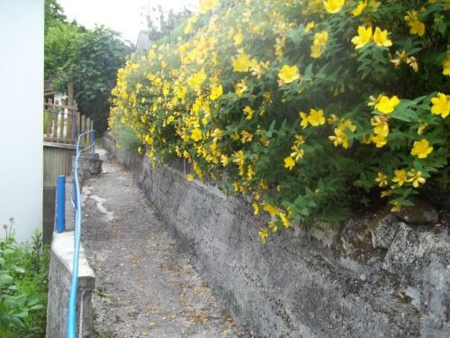 Apartamento Floryll