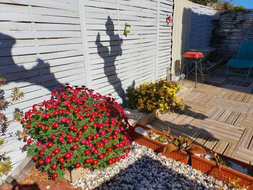 Apartamento Villa Dora