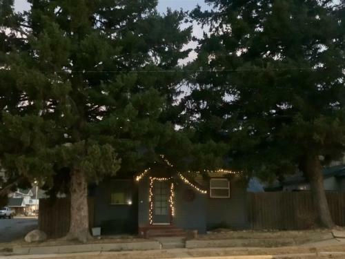 Dog Friendly Broadway Bungalow By Aaa Red Lodge Rentals
