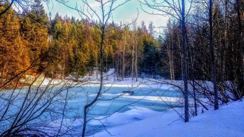Apartamento Big Mountain Cedar Cabin