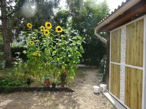 Perigourdine Typique Avec Piscine Et Jardin Clos