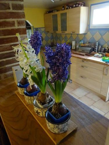 Perigourdine Typique Avec Piscine Et Jardin Clos
