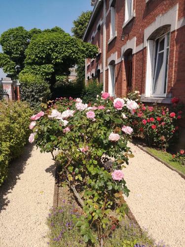 Rive Gauche - Givet