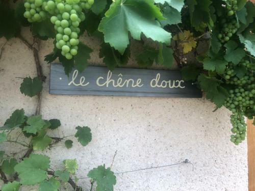 Apartamento Le Ch�ne Doux