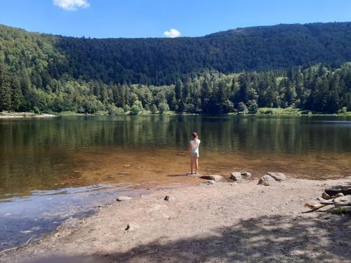 Apartamento L'�crin Des Vosges