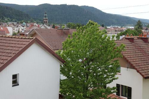 Chalet Des Rochires
