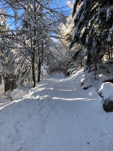 Le Batelier Du Lac
