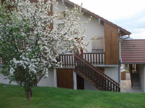 Apartamento Duplex Bellevue