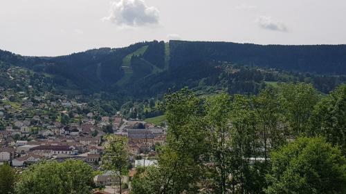 Apartamentos F2 Sur Les Hauteurs de Gerardmer