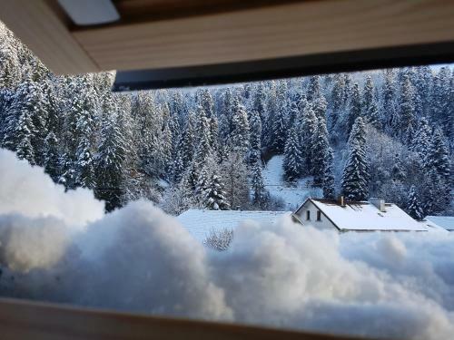 Apartamento Le Petit Kichon