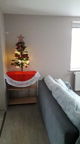 Apartamentos Le Flocon