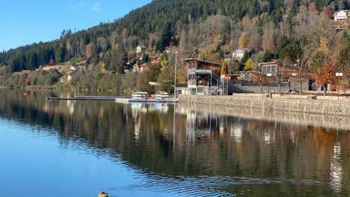 Apartamentos C�t� Lac