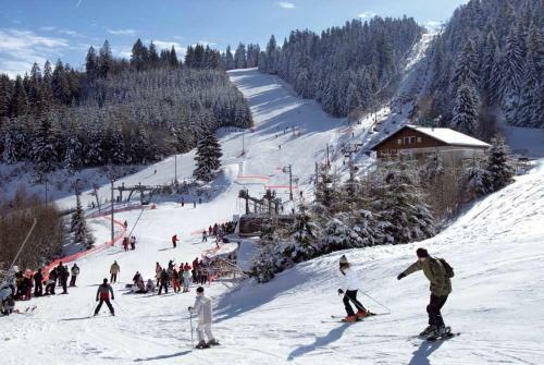 Chalet de Charme Le Havre Du Sotr�