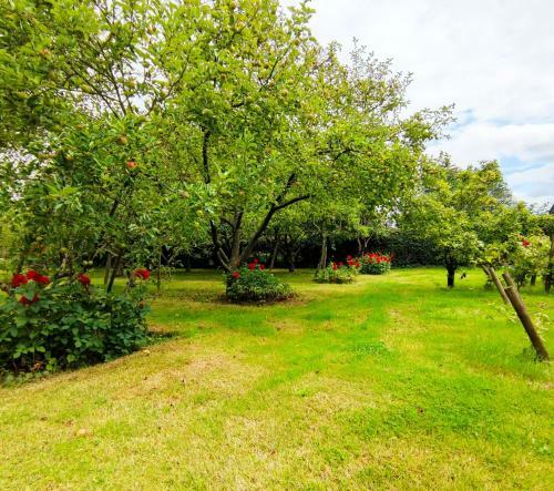Hostal Logis Du Cheval Blanc
