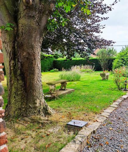 Hostal Logis Du Cheval Blanc