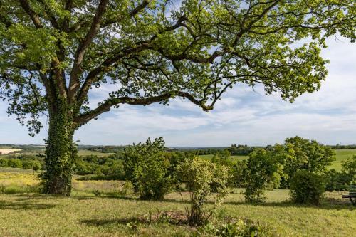 Joli G�te Campagne - Lits King Size & Vue Pyren�es