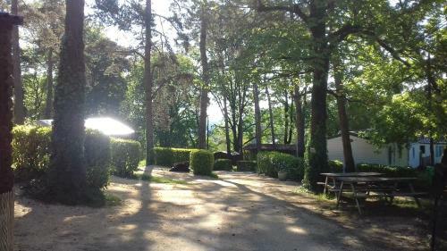 Camping 46 Rainettes