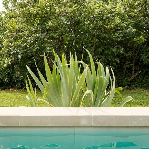 Bed & Breakfast La Bastide Jouval