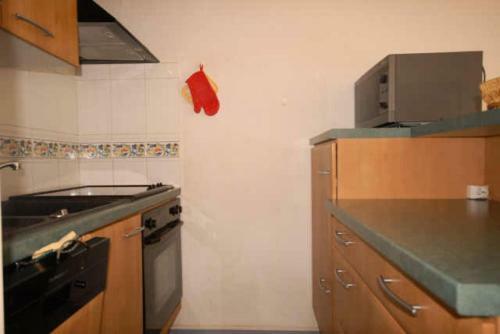 Apartamento R�sidence Marmottes - Studio Pour 4 Personnes 924