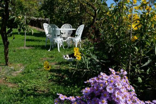 Bed & Breakfast Les Hauts Du Causse