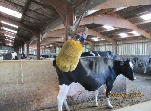 Hostal Ferme Les Rouges Terres
