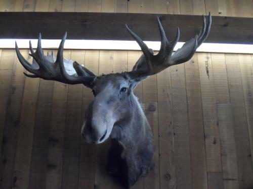 Bear Lodge Motel