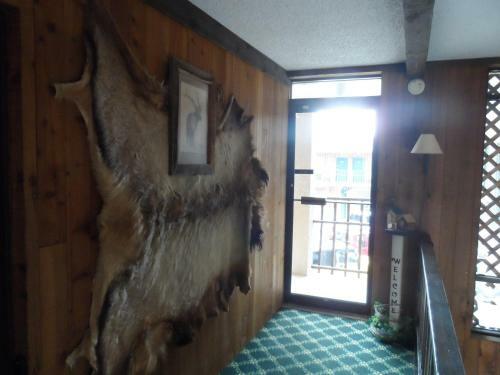 Bear Lodge Motel
