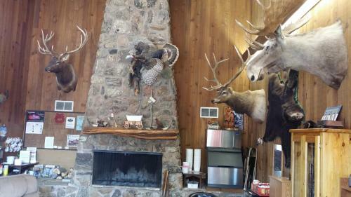 Bear Lodge Motel
