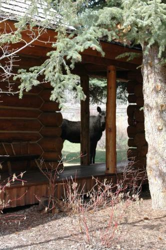 Hotel The Hatchet Resort