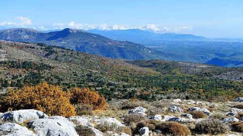 Apartamento "la Val�riane"
