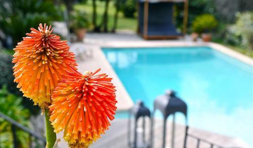 Bastide A�na Spa Et Piscine