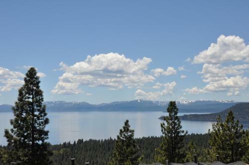 Bitterbrush / 400 Fairview Boulevard