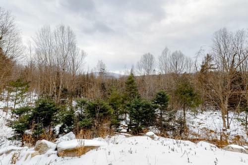 Mountain View Majesty