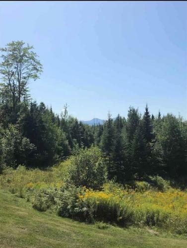Oe Beautiful Modern Log Home On 17 Acres, Private, Views, Fire Pit, Ping Pong, AC