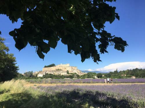 Apartamento Gites Les Oiseaux Voyageurs "le Douny"