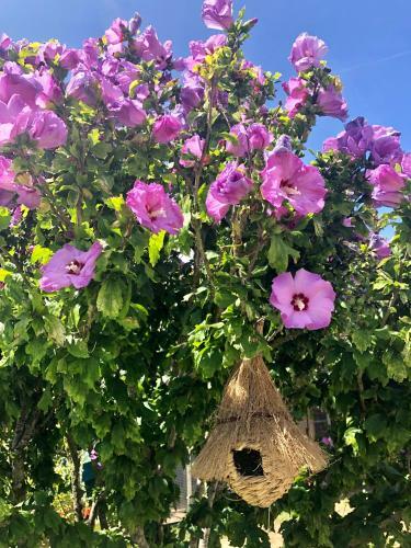 Bed & Breakfast La Korrigane