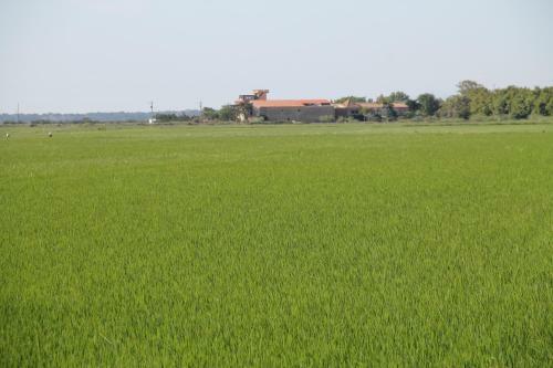 Apartamento Domaine Du Petit Tournebelle