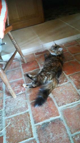 Bed & Breakfast Bauvais