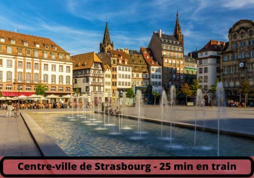 Apartamento Le Cosy - Centre Ville - Wifi Thd - 4 Pers