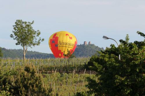 Hostal La Belle Alsacienne - Route Des Vins D'alsace