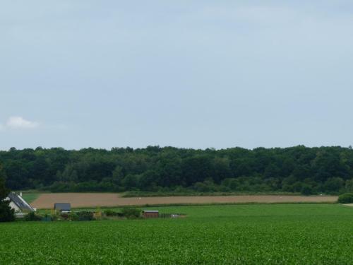 Apartamento Les Landes Avec Terrasse Et Jardin