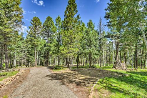 Spacious Retreat Less Than 5 Mi To Angel Fire Resort!