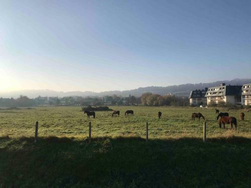 Apartamento Houlgate Appartement La Briarde