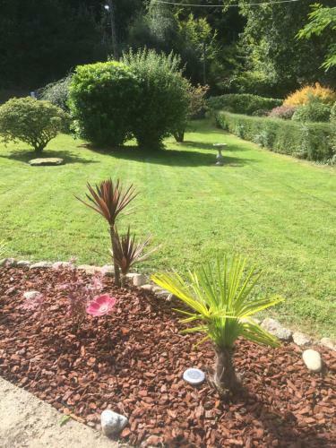 Bed & Breakfast Melwood Maison